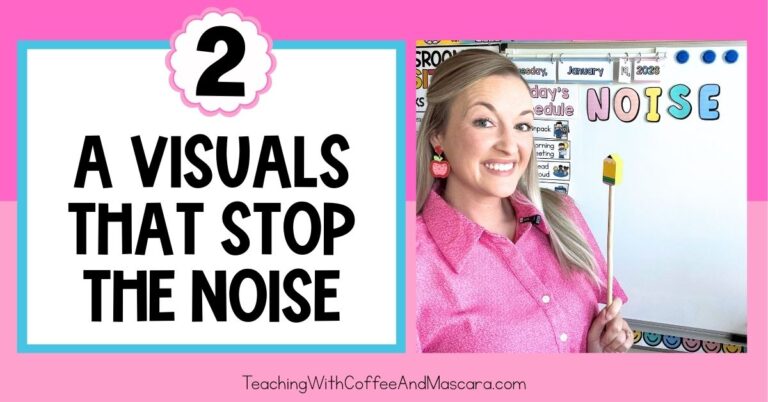 a teacher standing by noise letters next to text that reads "2 visuals to stop the noise"