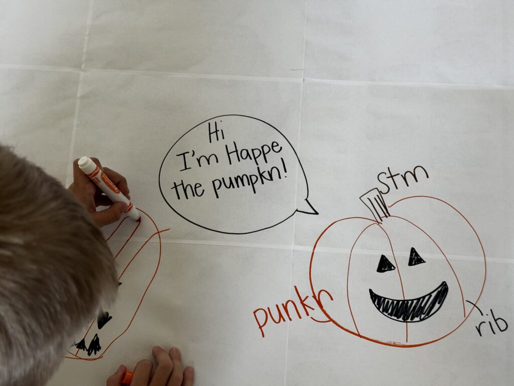 a student drawing a pumpkin to label on the paper taped to the wall.